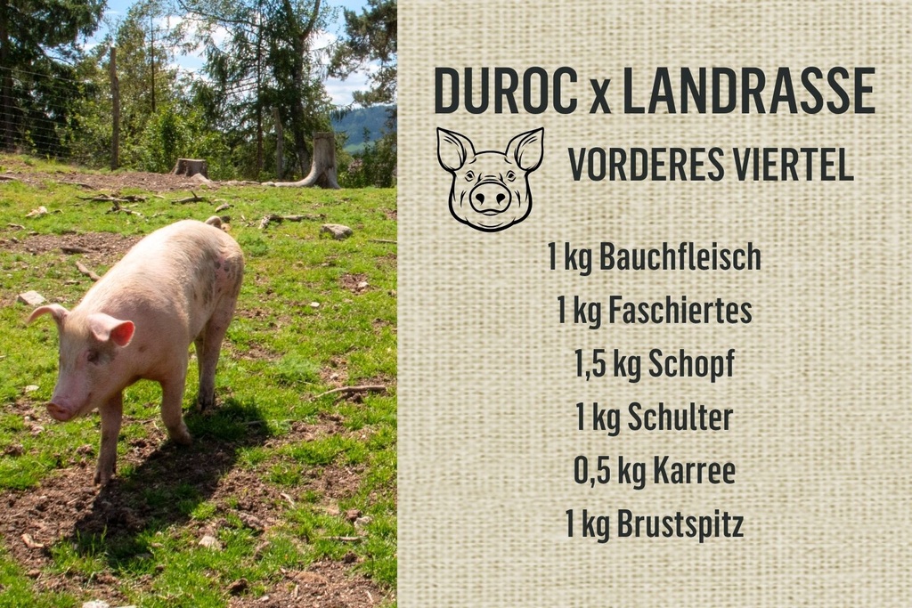 Vorderes Viertel vom Bio-Weideschwein Duroc x Landrasse 6kg