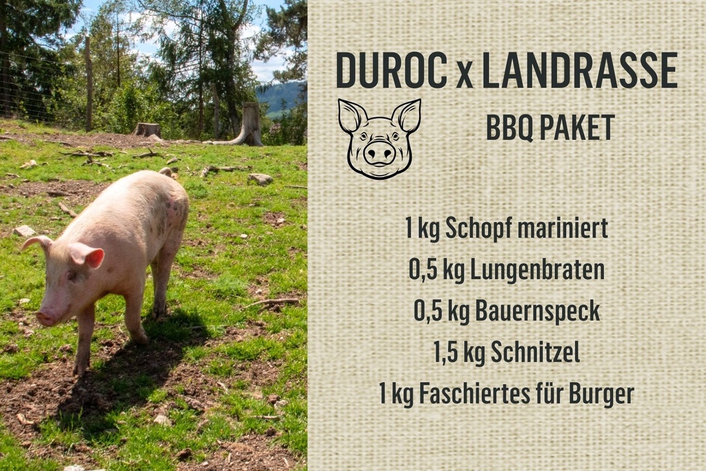 BBQ Paket vom Bio-Weideschwein Duroc x Landrasse