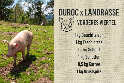 [20309] 6kg vom Bio-Weideschwein Duroc x Landrasse - vorderes Viertel