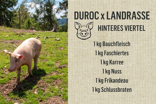 [20334] 6kg vom Bio-Weideschwein Duroc x Landrasse - hinteres Viertel