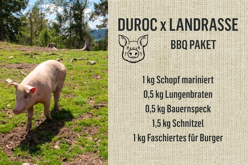 [20338] BBQ Paket vom Bio-Weideschwein Duroc x Landrasse